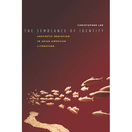 The Semblance of Identity: Aesthetic Mediation in Asian American Literature - Hardcover