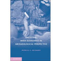 Ancestral Maya Economies in Archaeological Perspective