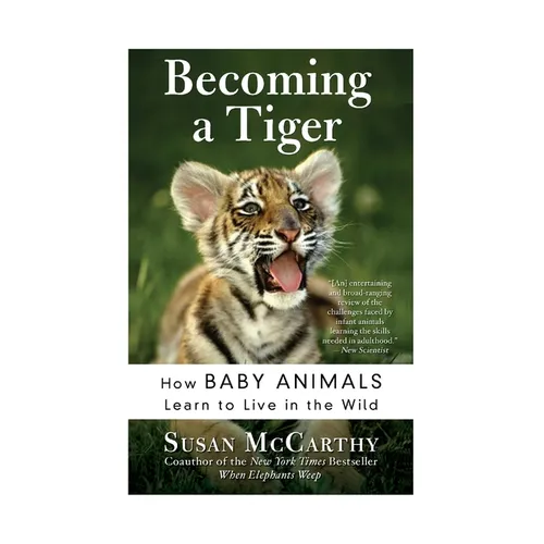 Becoming a Tiger: How Baby Animals Learn to Live in the Wild - Paperback