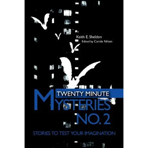 Twenty Minute Mysteries No. 2: Stories to test your imagination - Paperback