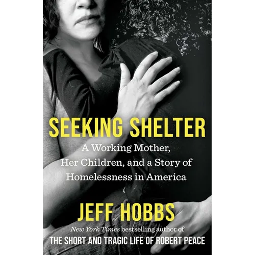 Seeking Shelter: A Working Mother, Her Children, and a Story of Homelessness in America - Hardcover