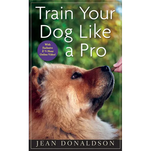 Train Your Dog Like a Pro