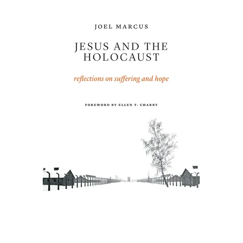 Jesus and the Holocaust: Reflections on Suffering and Hope - Paperback