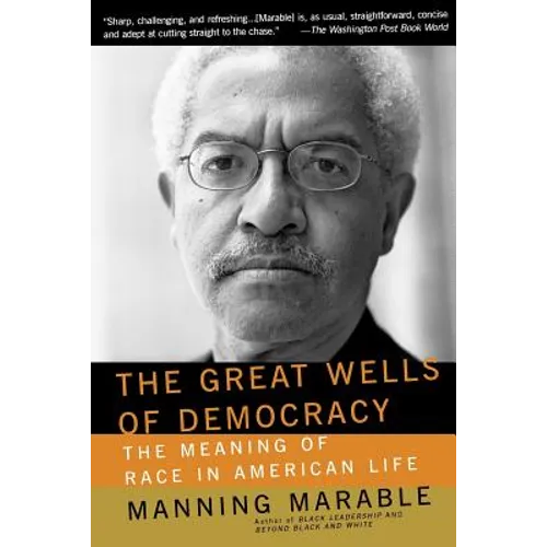The Great Wells of Democracy: The Meaning of Race in American Life - Paperback