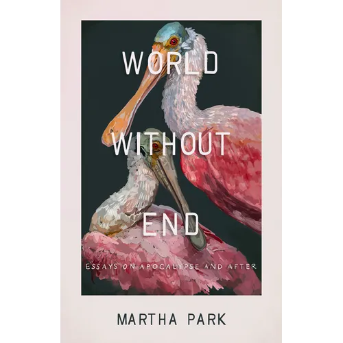 World Without End: Essays on Apocalypse and After - Hardcover