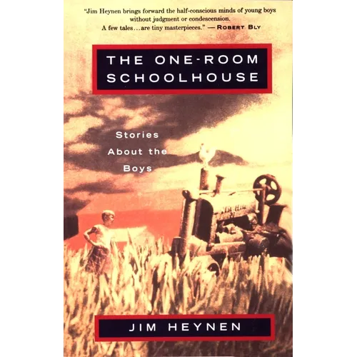 The One-Room Schoolhouse: Stories about the Boys - Paperback