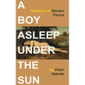 A Boy Asleep Under the Sun: Versions of Sandro Penna