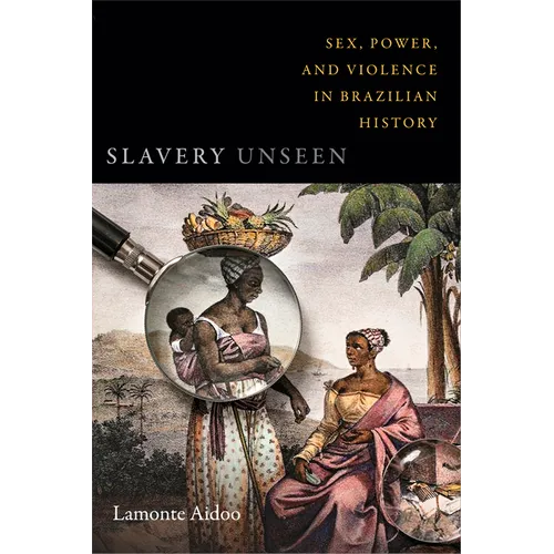 Slavery Unseen: Sex, Power, and Violence in Brazilian History - Paperback