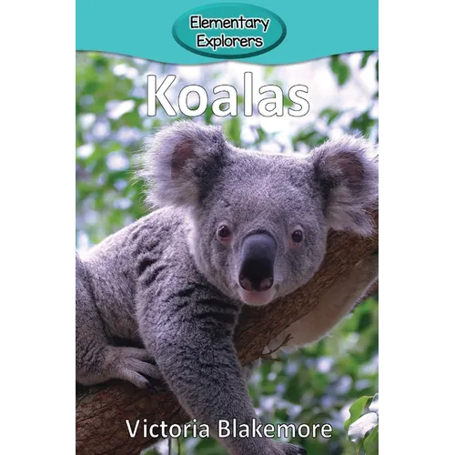 Koalas - Paperback