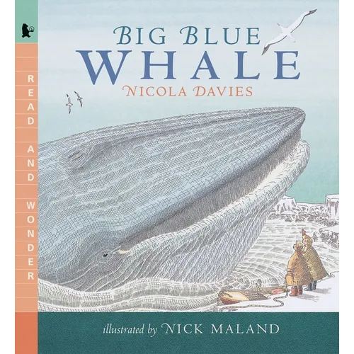Big Blue Whale - Paperback