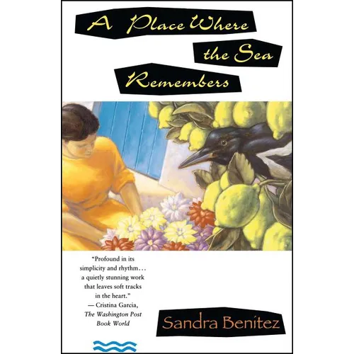 Place Where the Sea Remembers - Paperback