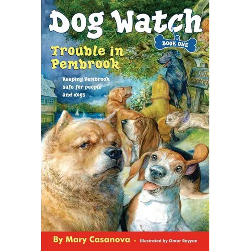 Trouble in Pembrook - Paperback
