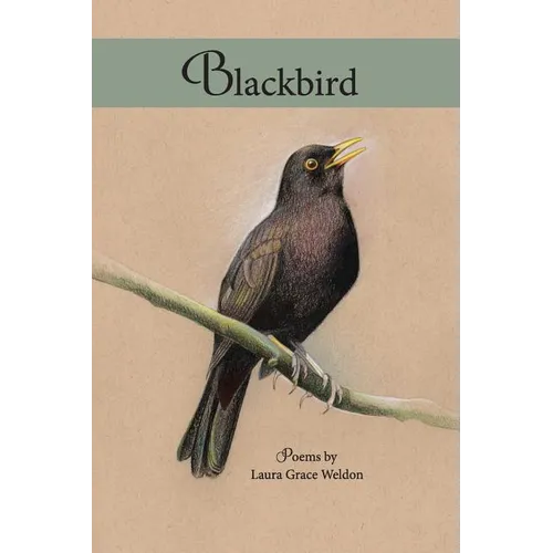 Blackbird: poems - Paperback