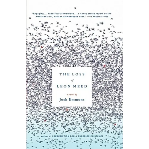 The Loss of Leon Meed - Paperback