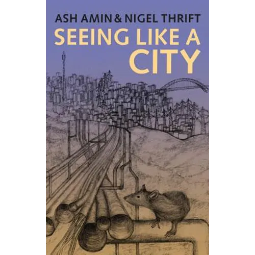 Seeing Like a City - Paperback