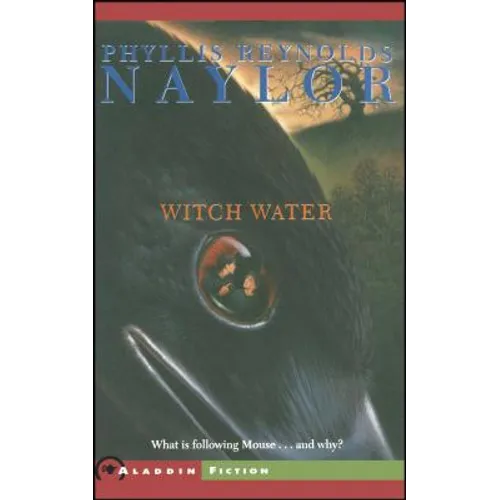 Witch Water - Paperback