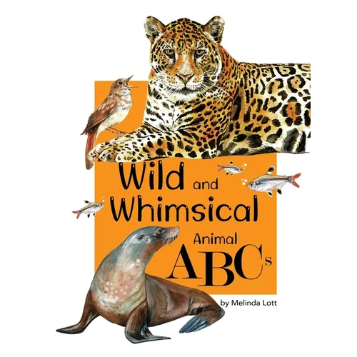 Wild and Whimsical Animal ABC's - Hardcover