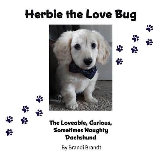 Herbie the Love Bug - Paperback