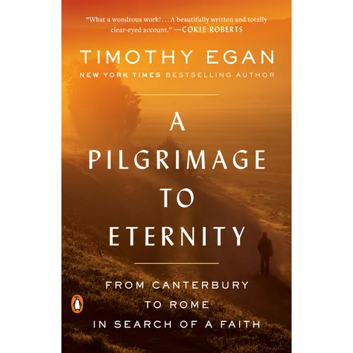 A Pilgrimage to Eternity: From Canterbury to Rome in Search of a Faith - Paperback