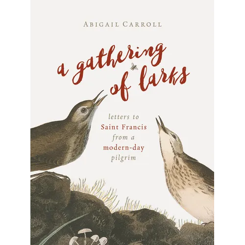 A Gathering of Larks: Letters to Saint Francis from a Modern-Day Pilgrim - Paperback