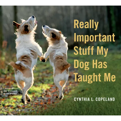 Really Important Stuff My Dog Has Taught Me