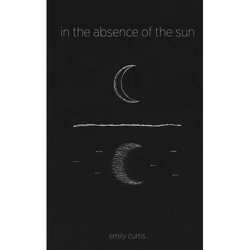 in the absence of the sun - Paperback