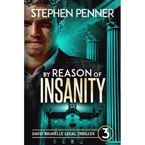 By Reason of Insanity: David Brunelle Legal Thriller #3 - Paperback