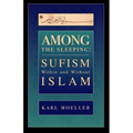 Among The Sleeping: Sufism Within And Without Islam