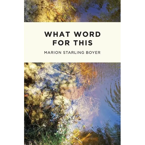 What Word for This - Paperback