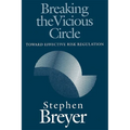 Breaking the Vicious Circle: Toward Effective Risk Regulation