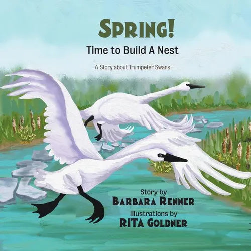 SPRING! Time to Build a Nest, A Story about Trumpeter Swans - Paperback