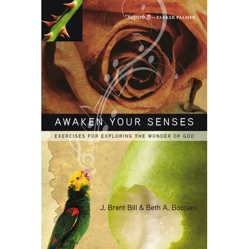 Awaken Your Senses: Exercises for Exploring the Wonder of God - Paperback