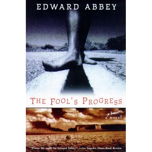 The Fool's Progress: An Honest Novel - Paperback