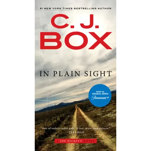In Plain Sight - Paperback