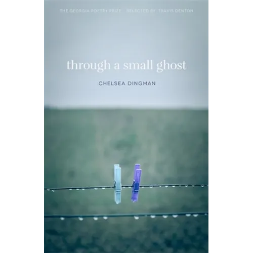 Through a Small Ghost: Poems - Paperback