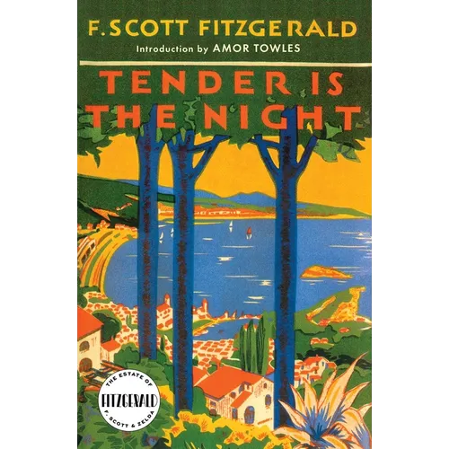 Tender is the Night - Paperback