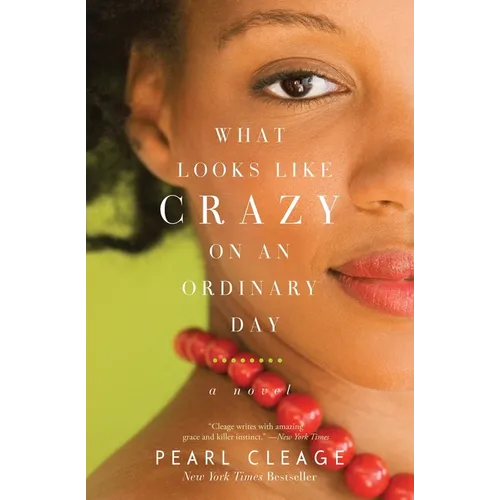 What Looks Like Crazy on an Ordinary Day