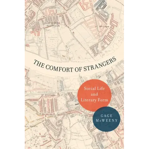 The Comfort of Strangers: Social Life and Literary Form - Paperback