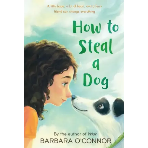 How to Steal a Dog - Paperback