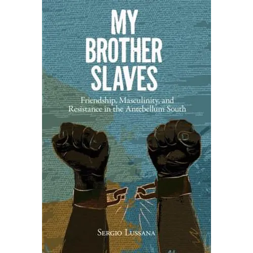 My Brother Slaves: Friendship, Masculinity, and Resistance in the Antebellum South - Hardcover