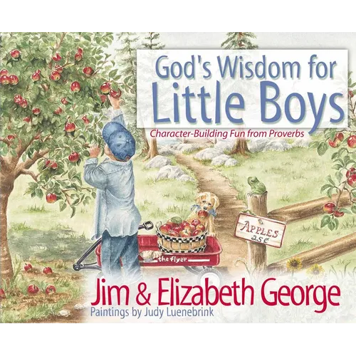 God's Wisdom for Little Boys: Character-Building Fun from Proverbs