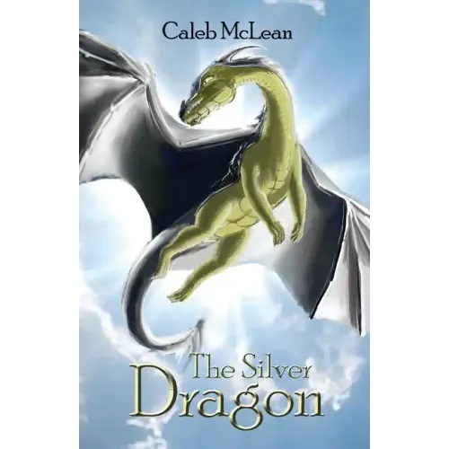 The Silver Dragon - Paperback