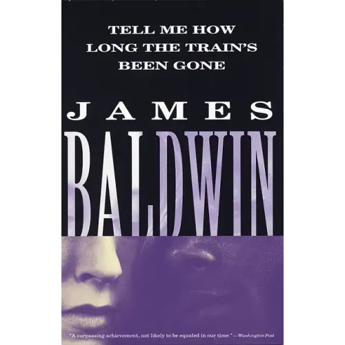 Tell Me How Long the Train's Been Gone - Paperback