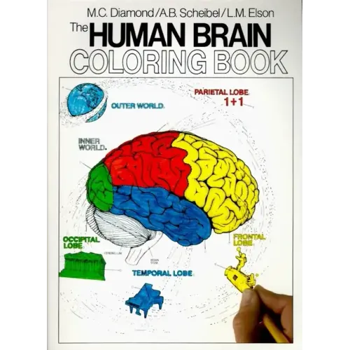 The Human Brain Coloring Book - Paperback