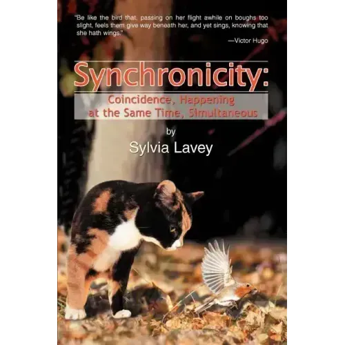 Synchronicity: Coincidence, Happening at the Same Time, Simultaneous - Paperback