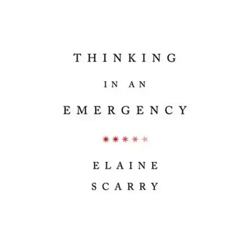 Thinking in an Emergency - Paperback