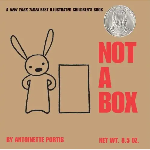 Not a Box Board Book - Board Book