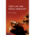Tort Law and Social Morality