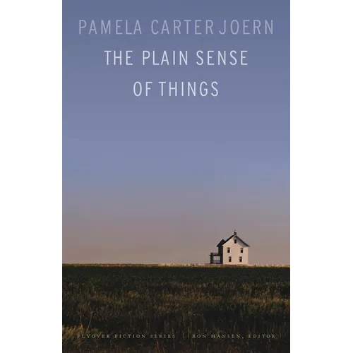 The Plain Sense of Things - Paperback