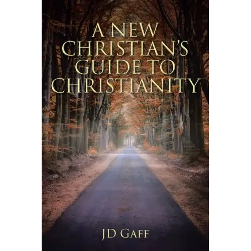 A New Christian's Guide to Christianity - Paperback